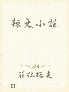 辣文小说