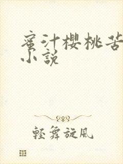 蜜汁樱桃苦咖啡小说