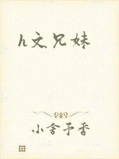 h文兄妹封面
