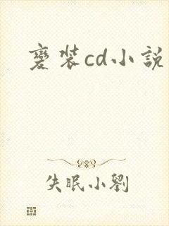 变装cd小说