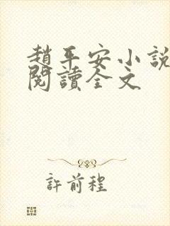 赵平安小说免费阅读全文封面
