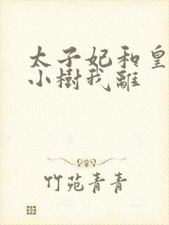 太子妃和皇上在小树我离封面