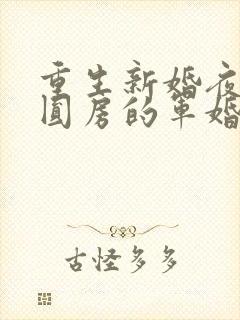 重生新婚夜正在圆房的军婚