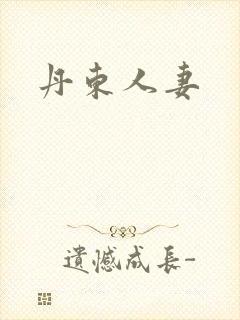 丹东人妻封面