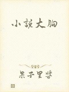 小说大胸