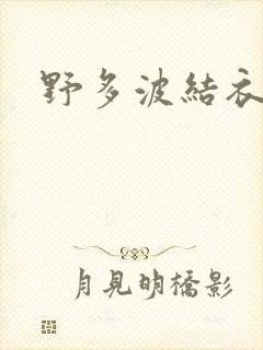 野多波结衣