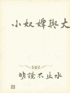 小奴婢与大少爷