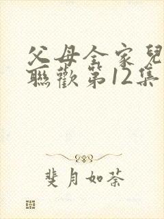 父母全家儿女大联欢第12集封面