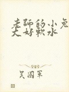 老师的小兔子好大好软水