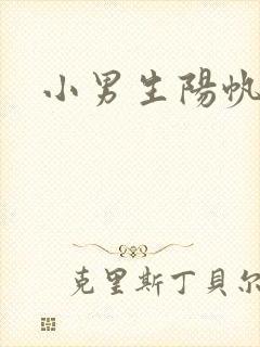 小男生阳帆