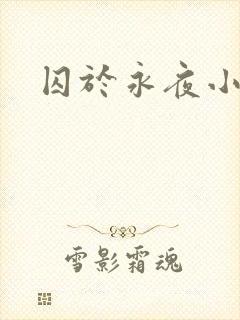 囚于永夜小说