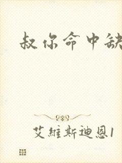 叔你命中缺我