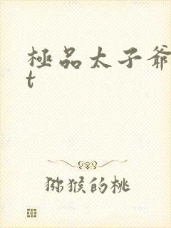 极品太子爷txt
