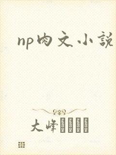 np肉文小说