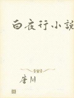 白夜行小说下载