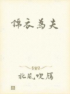 锦衣为夫封面