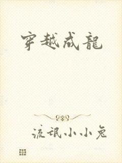 穿越成龙封面