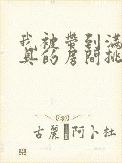 我被带到满是玩具的房间挑调游戏