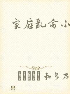 家庭乱仑小说封面