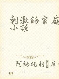 刺激的家庭乱仑小说
