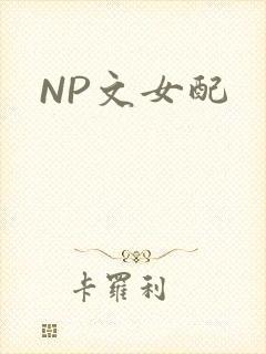 NP文女配