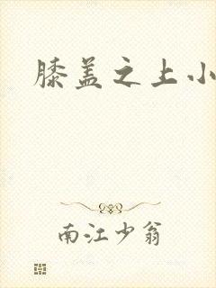 膝盖之上小说