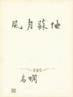 风月苏他封面