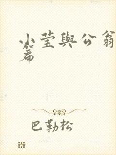 小莹与公翁第八篇封面