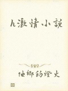 h激情小说