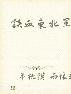 铁血东北军