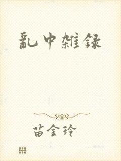 乱中杂录