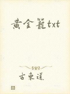 黄金笼txt