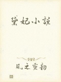 黛妃小说