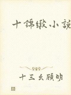 十锦缎小说