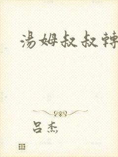 汤姆叔叔转接口