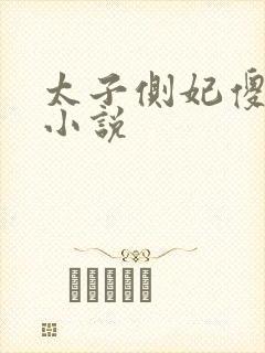 太子侧妃傻乎乎小说封面