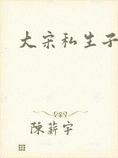 大宋私生子封面