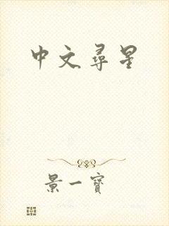 中文寻星封面