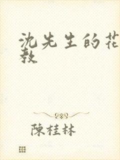 沈先生的花式管教