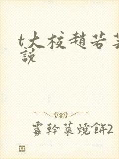 t大校赵若芸小说
