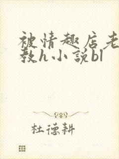 被情趣店老板调教h小说bl封面