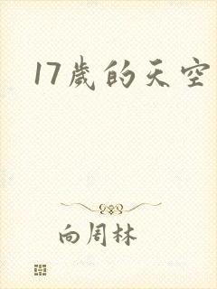 17岁的天空