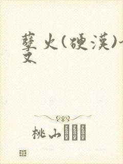孽火(硬汉)今又
