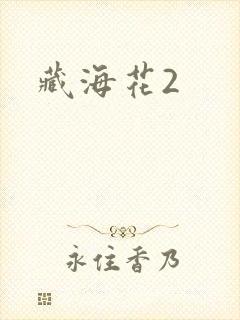 藏海花2