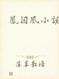 凤囚凰小说