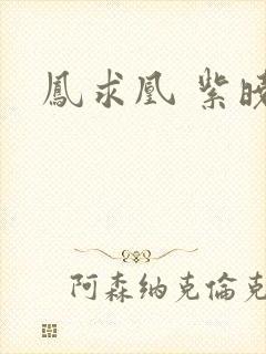 凤求凰 紫晓封面