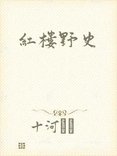 红楼野史