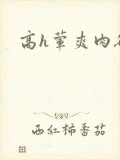 高h荤爽肉欲文