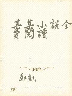 某某小说全文免费阅读