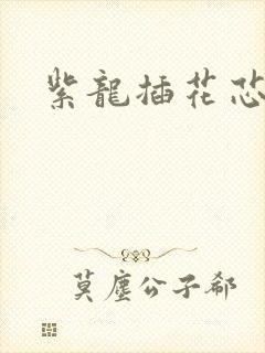 紫龙插花芯